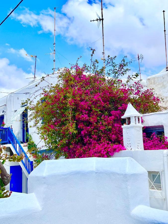 Provis Rentals Suite Next To The Mills In Mykonos Town Εξωτερικό φωτογραφία